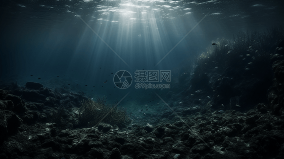 阴沉的海底图片