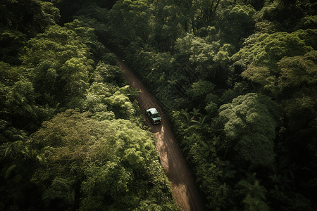 树林小路上的汽车图片