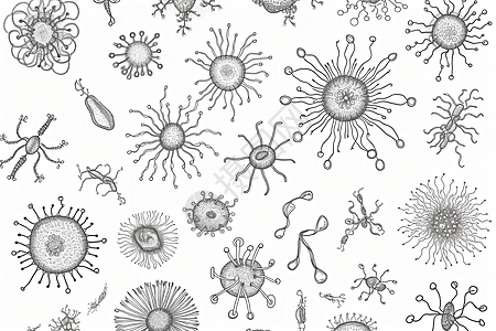 细菌草图绘制图片