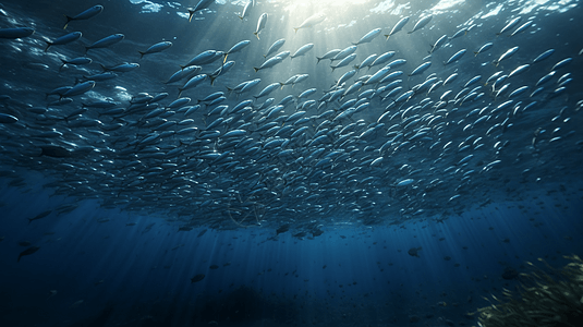 鱼群在海洋中游泳特写图片
