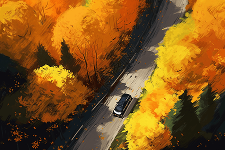 秋色街道上的轿车图片