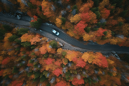 森林公路色彩鲜艳的山路背景