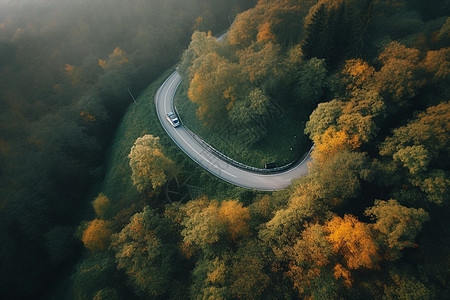 蜿蜒森林道路上的行驶的卡车图片