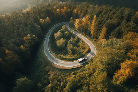 森林道路上的行驶的卡车图片