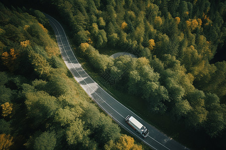 森林道路上的卡车图片
