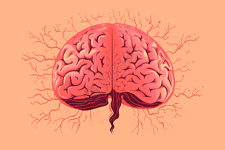 红色的大脑图片