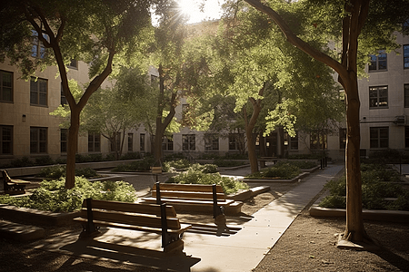 大学中央庭院的景色图片