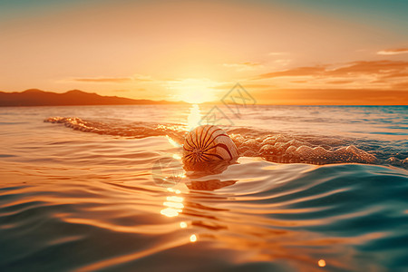 日出和大海上搁浅的海螺图片