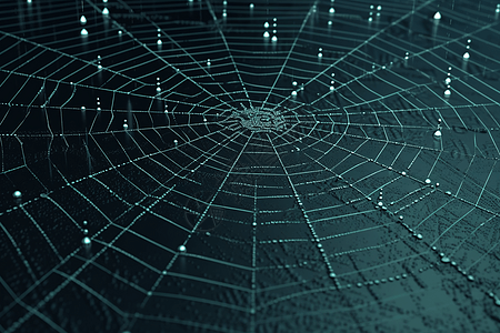 紧密的数字蜘蛛网图片