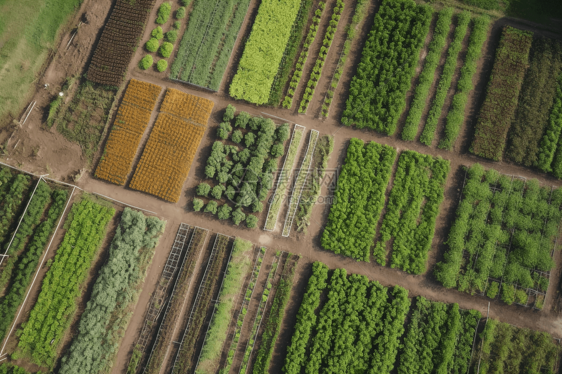 可持续农业图图片