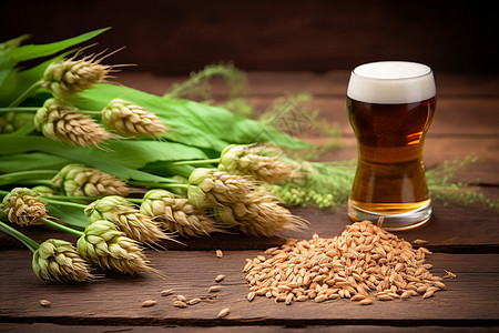 麦芽和小麦啤酒背景图片