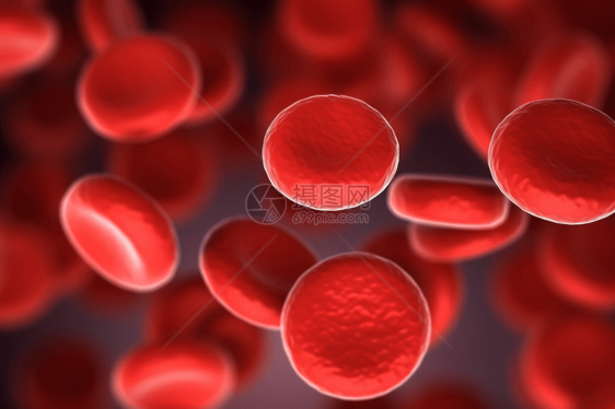 3d红细胞医学概念图片
