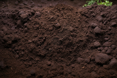 深棕色的壤土背景图片