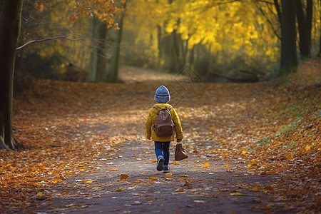 一地落叶小孩子独自地走在森林里背景