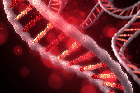 细胞基因链图片