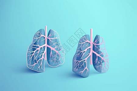有树状支气管的肺部背景图片