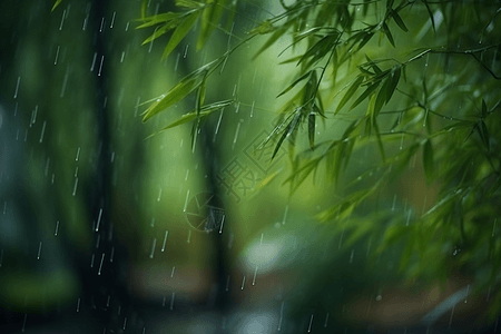 中国风竹子雨中的竹林背景