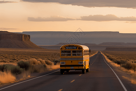 一辆校车沿着道路行驶，背景是充满活力的平坦景观。图片