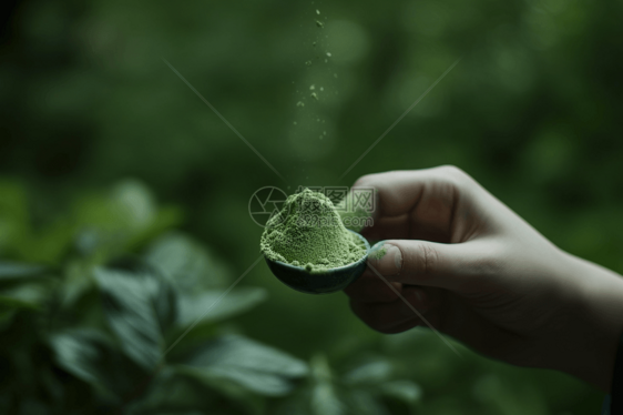 草药粉的特写镜头图片