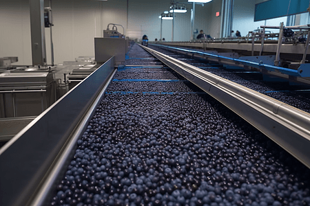 蓝莓食品加工厂图片