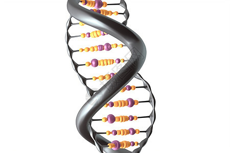 dna螺旋链3D概念图背景图片