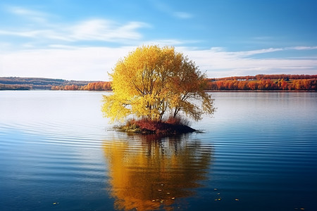 秋天湖边湖泊小岛中间的树秋色景观背景