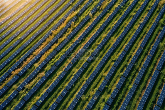 太阳能电池板农场图片