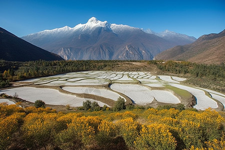 香格里拉东南的哈巴雪山脚下图片