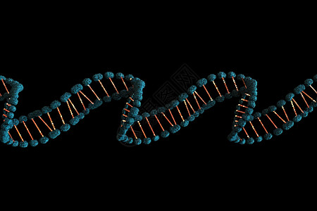 3d动画dna字符串黑色背景图片