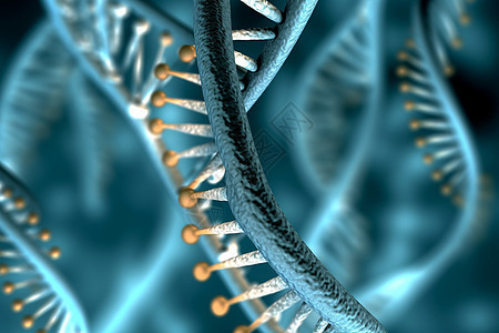 三维DNA螺旋楼梯图片