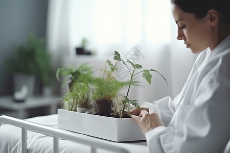 医生在养护植物图片