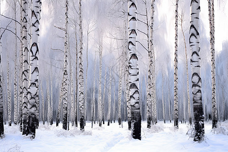 白雪复古的森林背景图片