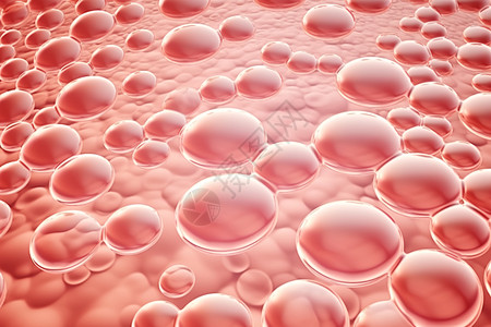 维生素皮肤细胞图片