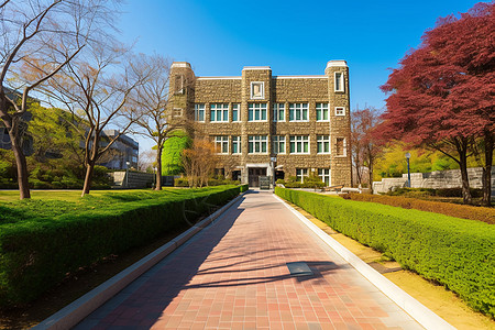 春天美肤节大学校园背景