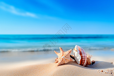 海边海星素材夏天阳光明媚海滩背景