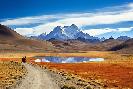 高远山脉的自然风景高清图片