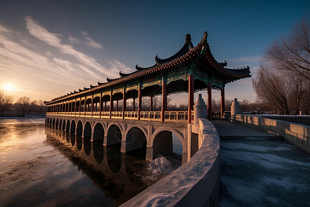 太阳菊凉亭走廊风景背景