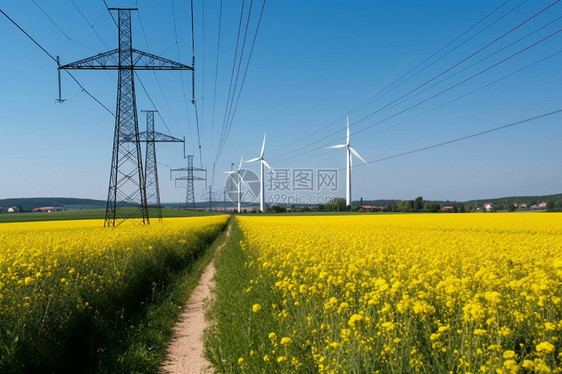 油菜花田上得高压电力线和新能源风车图片