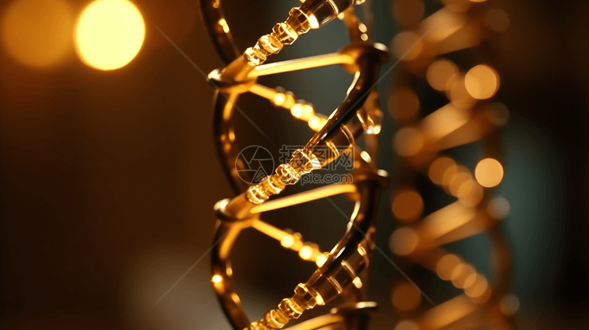 DNA双螺旋结构图片