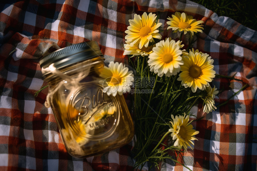 野餐垫上的菊花和茶图片