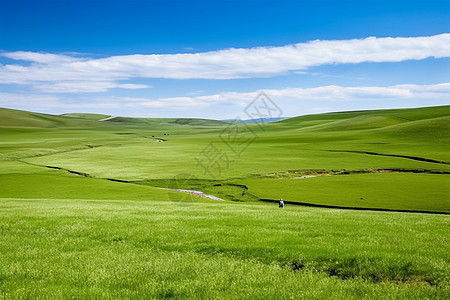 草原背景一望无际的大草原背景