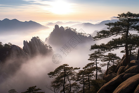 安徽黄山迎客松图片