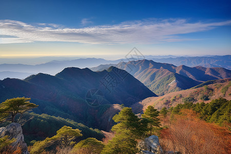 高山和树木风景图片