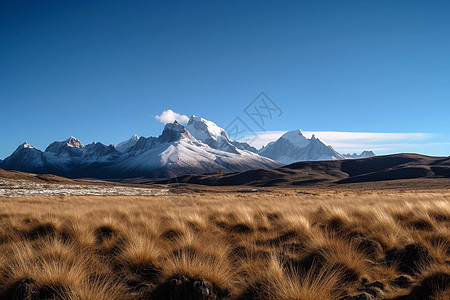 西藏唯美雪山风景高清图片