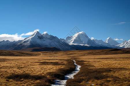 西藏的雪山背景图片