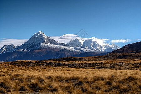 西藏的冰山西藏风景高清图片