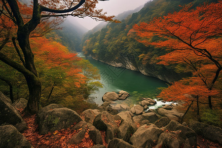 秋天大自然的唯美风景图片
