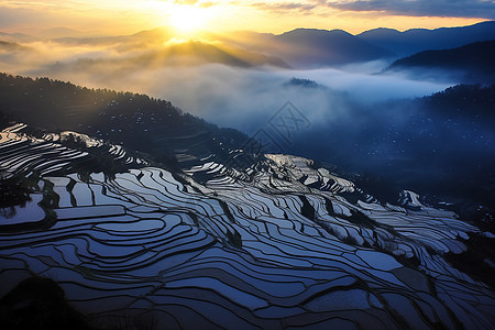 美丽的日出梯田风景图片