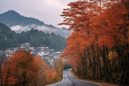 光雾山秋天的风景高清图片