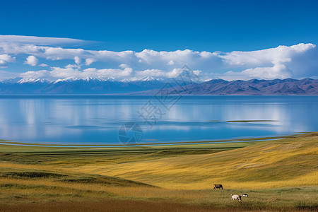 伊犁赛里木湖伊犁哈萨克赛里木湖背景